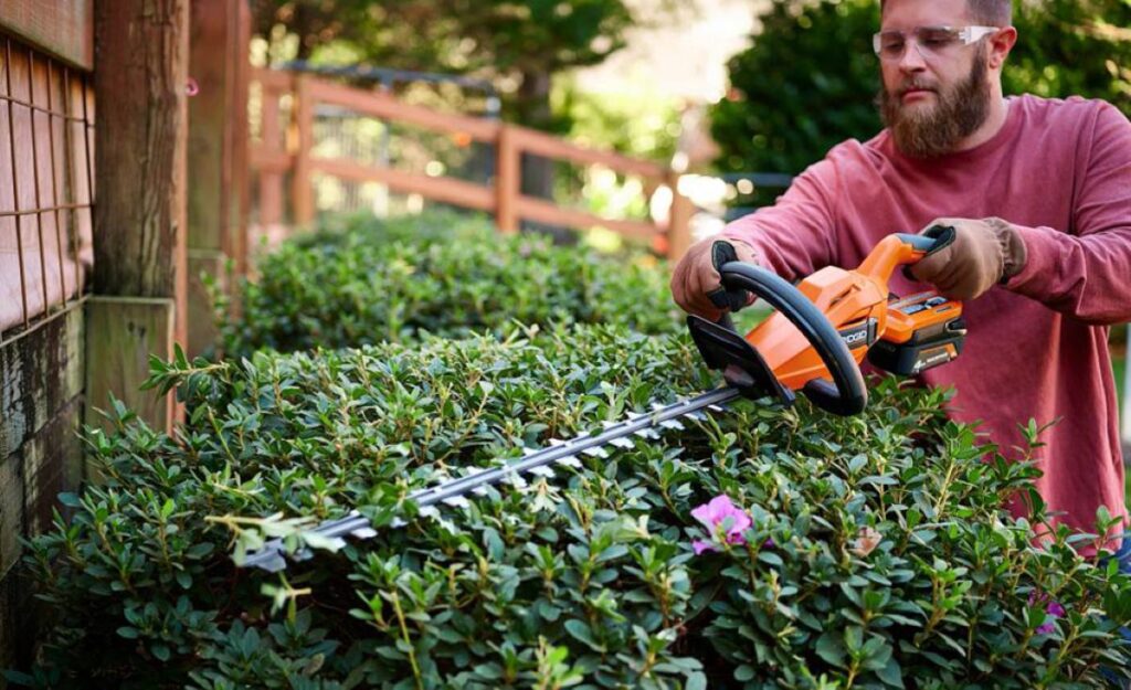 residential hedge trimming