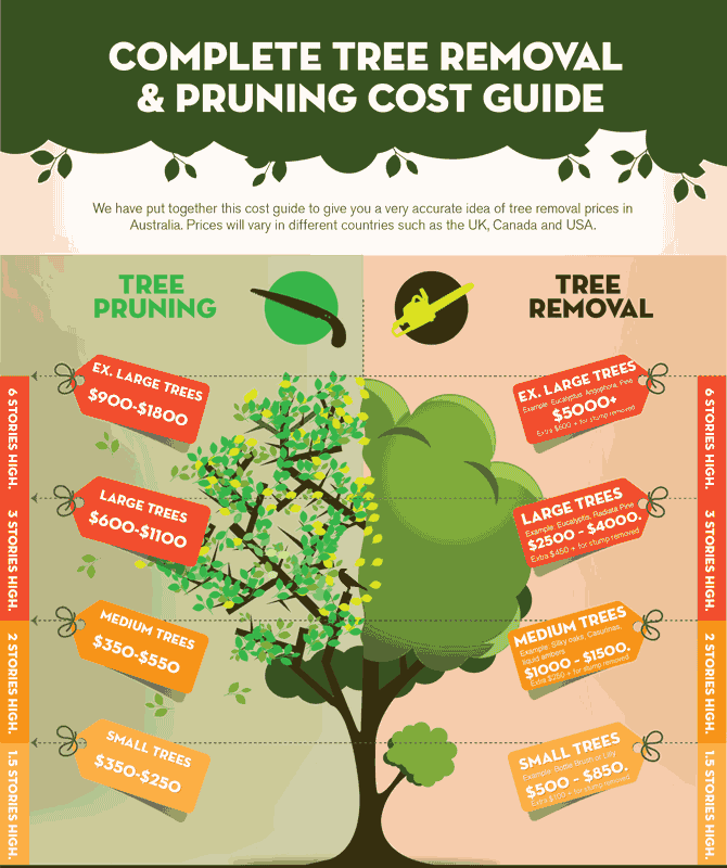 The Complete Guide to Safe and Efficient Tree Removal 2026
